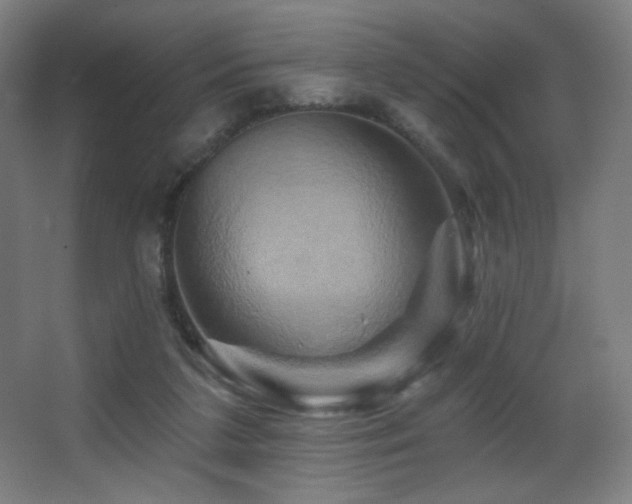 X0000068320211200604211214