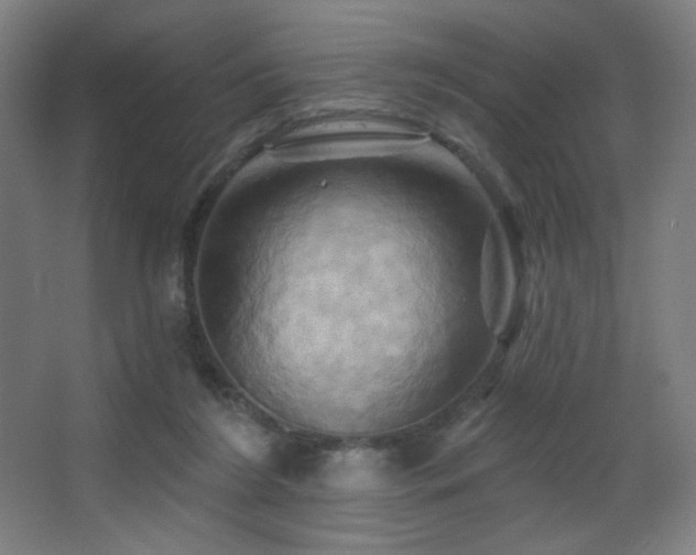 X0000068320212200604211214