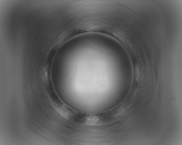 X0000068320214200604211214