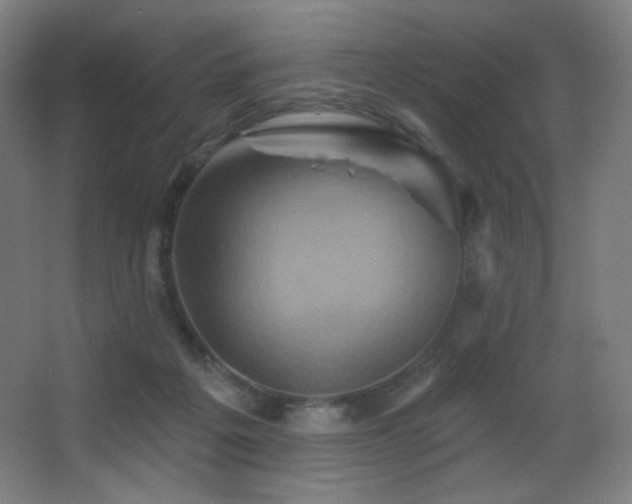 X0000068320217200604211214
