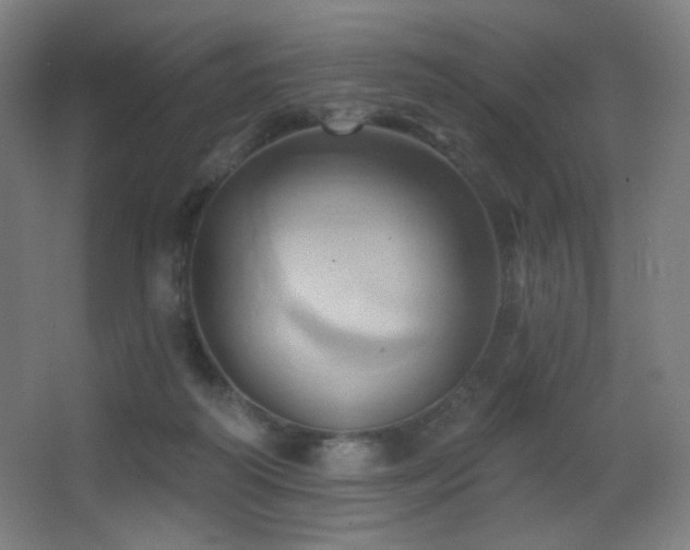 X0000068320218200604211214