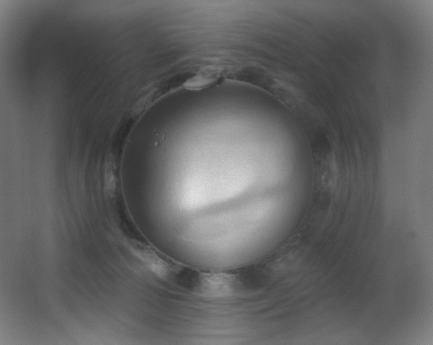 X0000068320226200604211213