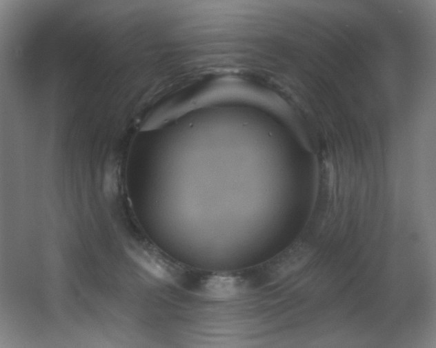 X0000068320227200604211213