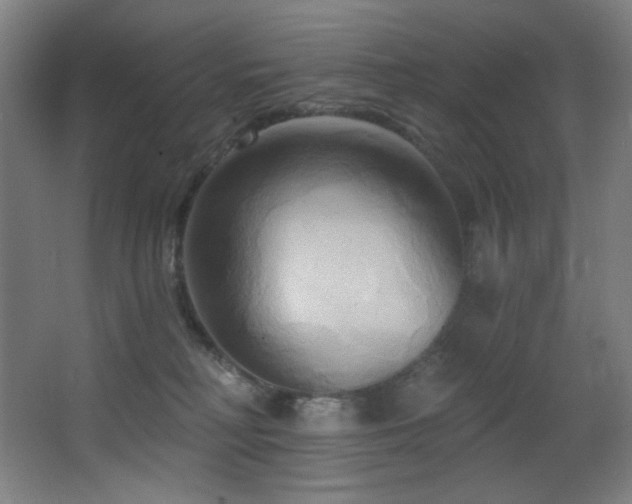 X0000068320230200604211213