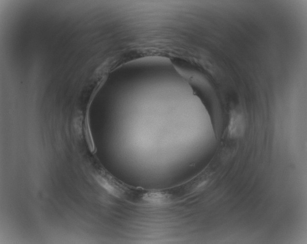 X0000068320231200604211213