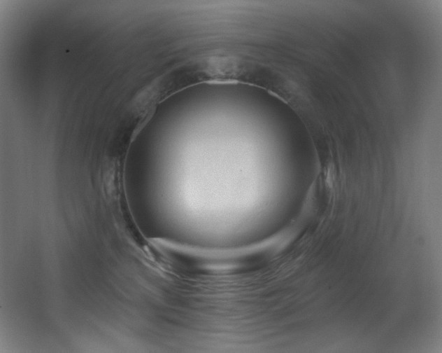 X0000068320233200604211213