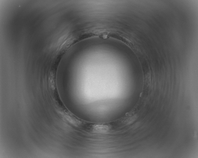 X0000068320234200604211213