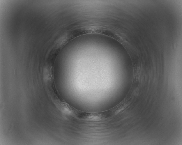 X0000068320236200604211213