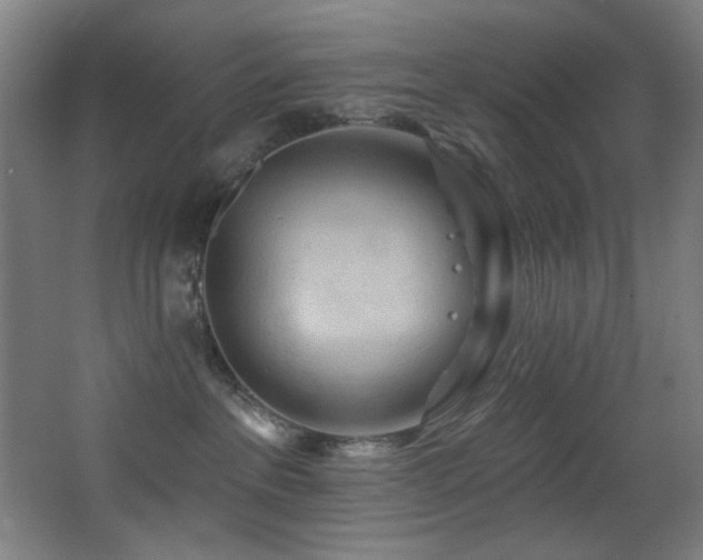X0000068320237200604211213