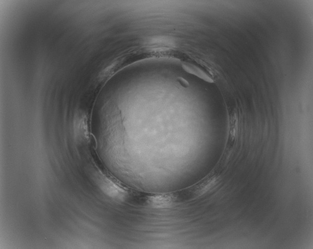 X0000068320238200604211213