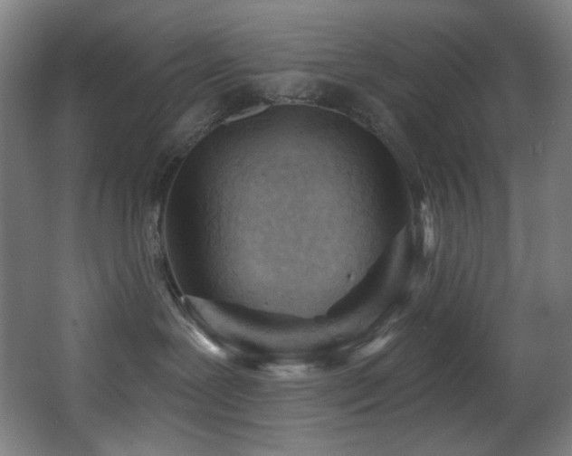 X0000068320239200604211213