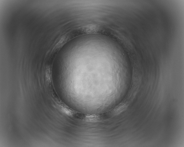 X0000068320240200604211213