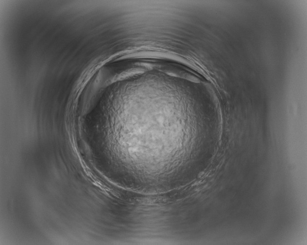 X0000068320241200604211212