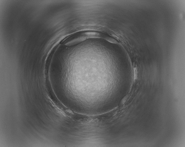 X0000068320243200604211212