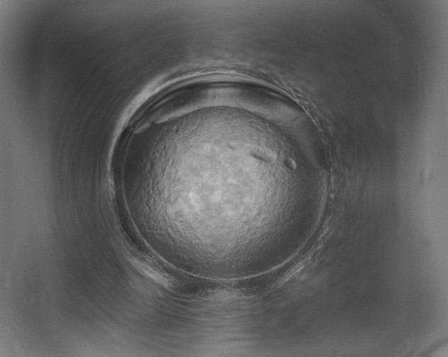X0000068320246200604211212