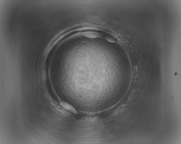 X0000068320247200604211212