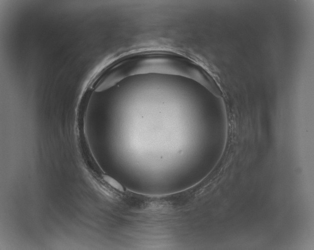 X0000068320248200604211213