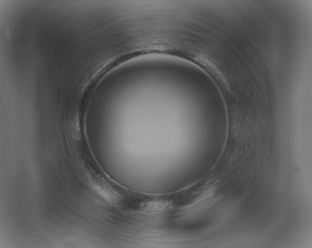 X0000068320251200604211213