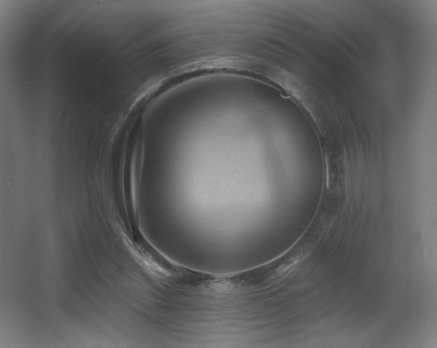 X0000068320253200604211213