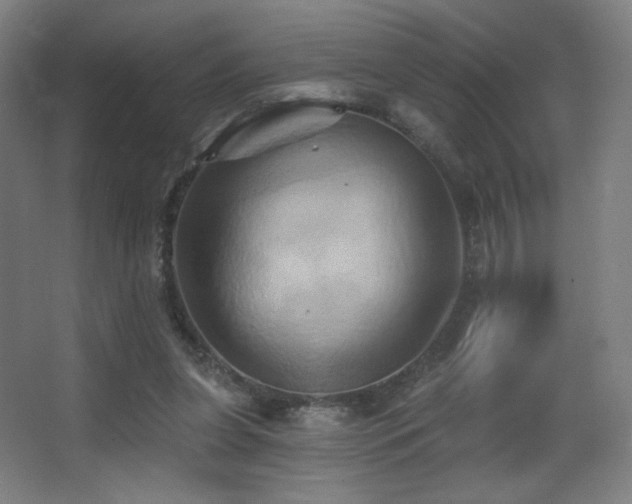 X0000068320255200604211213