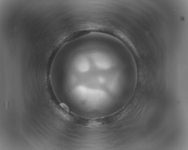 X0000068320257200604211213