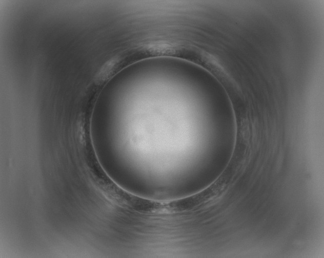X0000068320259200604211213