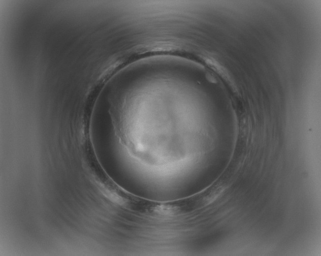 X0000068320261200604211213