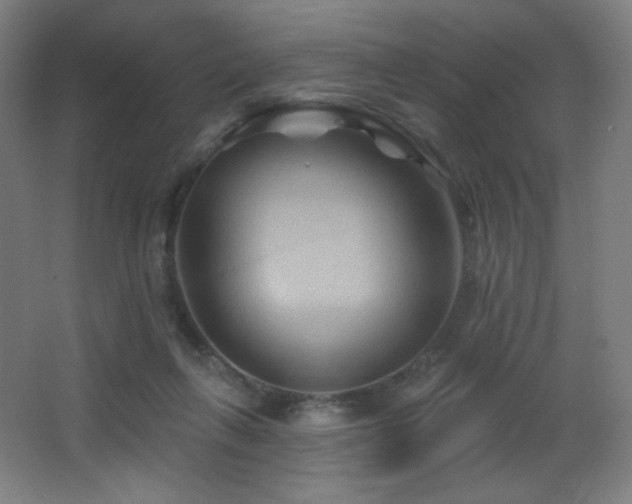 X0000068320263200604211213