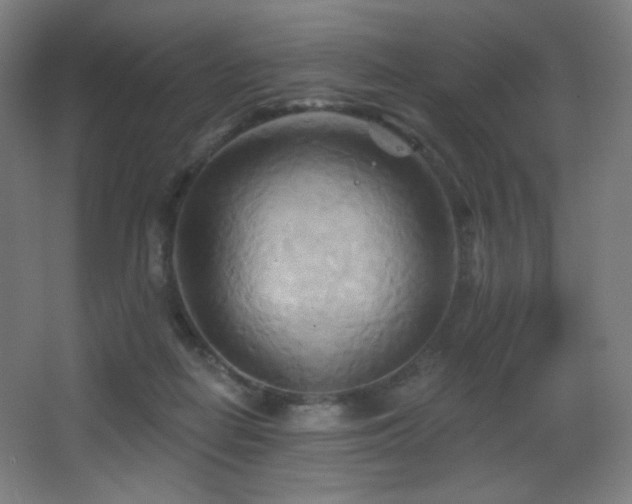 X0000068320266200604211213