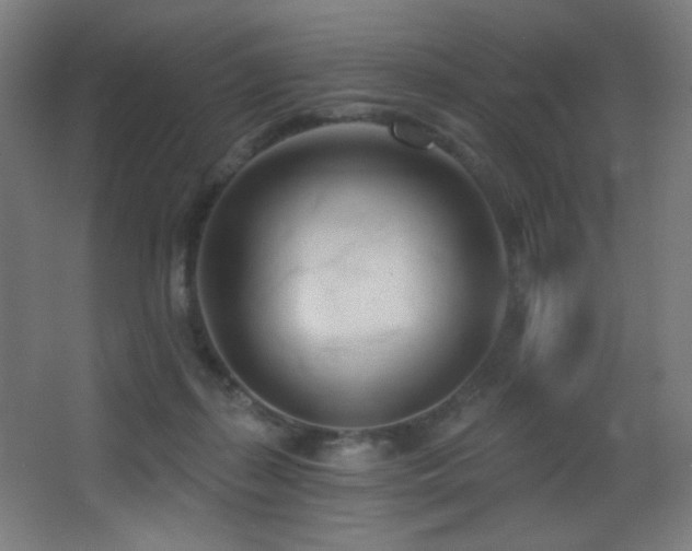 X0000068320267200604211213
