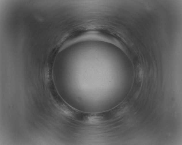 X0000068320268200604211213
