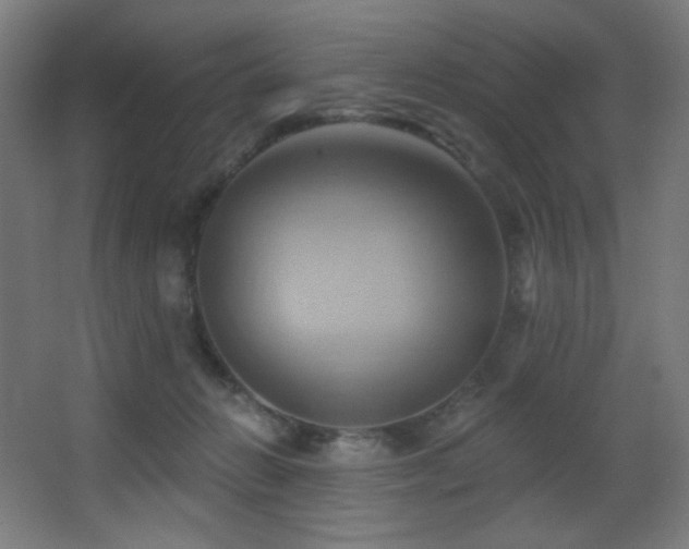 X0000068320270200604211213