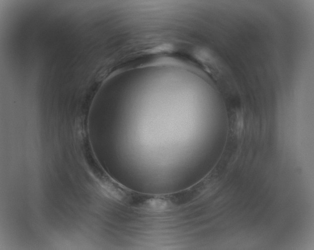 X0000068320272200604211213