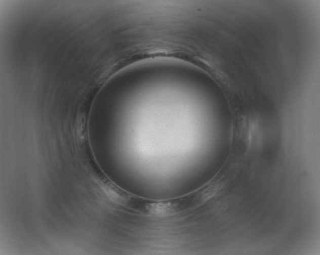 X0000068320273200604211213