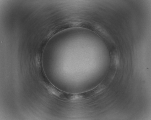 X0000068320274200604211213