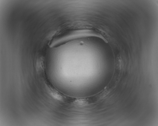 X0000068320280200604211213