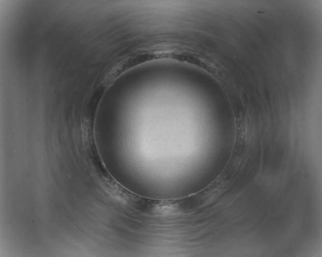 X0000068320283200604211213