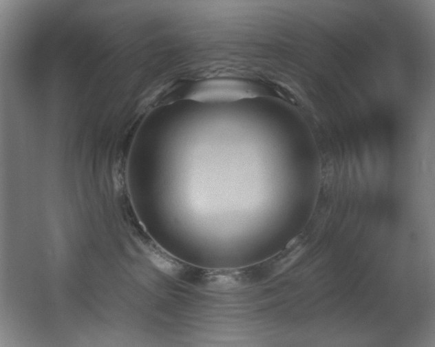 X0000068320285200604211213