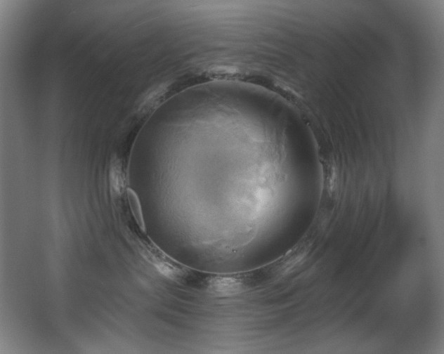 X0000068320287200604211213