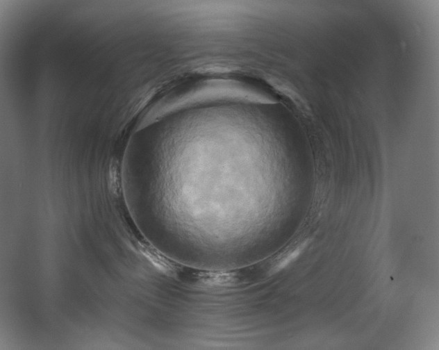 X0000068320288200604211213