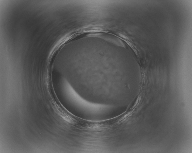 X0000068320293200604211212
