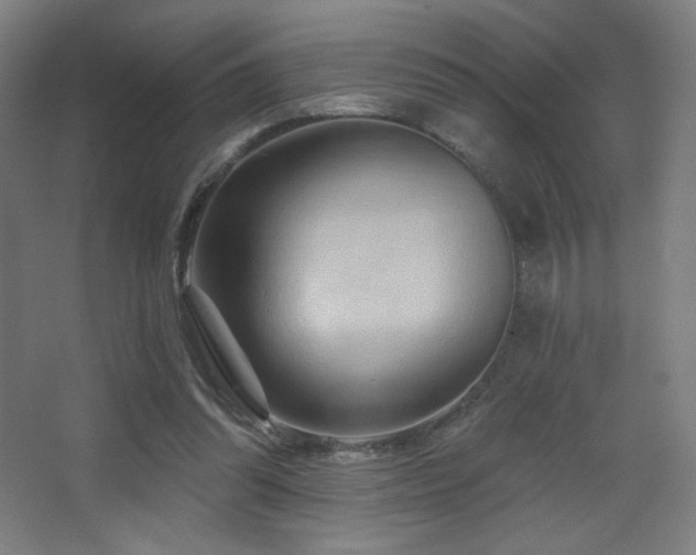 X0000068320302200604211212