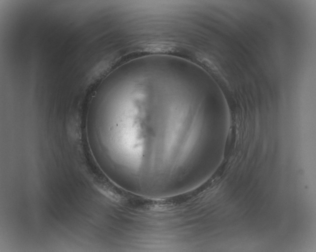 X0000068320303200604211212