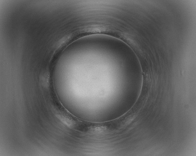 X0000068320304200604211212