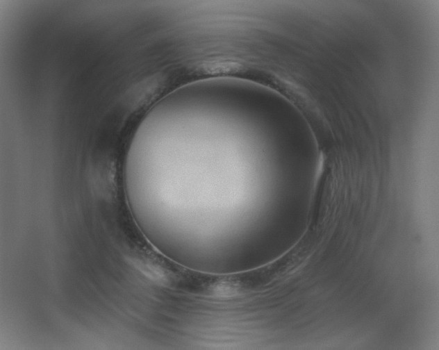 X0000068320308200604211212