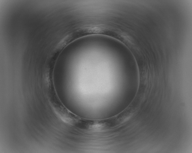 X0000068320312200604211212