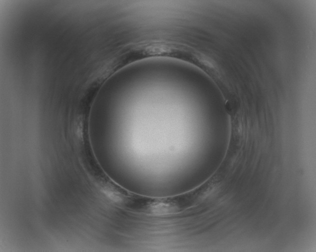 X0000068320315200604211212