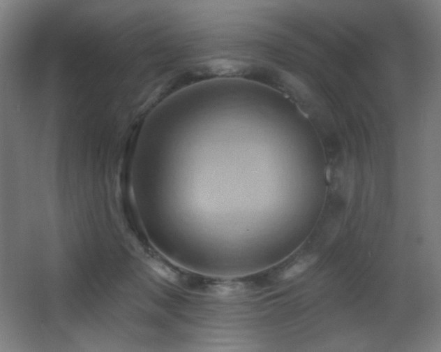 X0000068320317200604211212