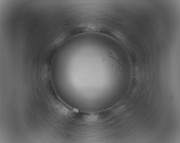 X0000068320318200604211212