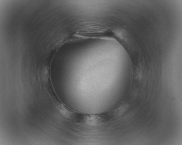X0000068320321200604211212